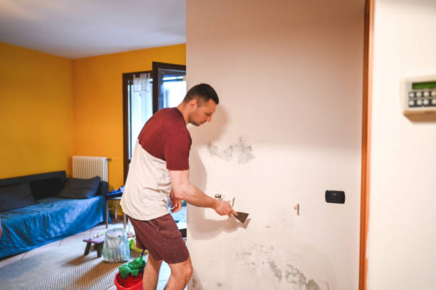 Best Insurance-Related Mold Remediation in Owings Mills, MD